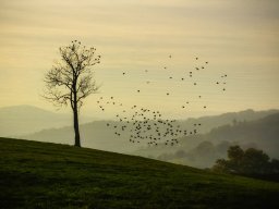 2026 National 1 papier couleur